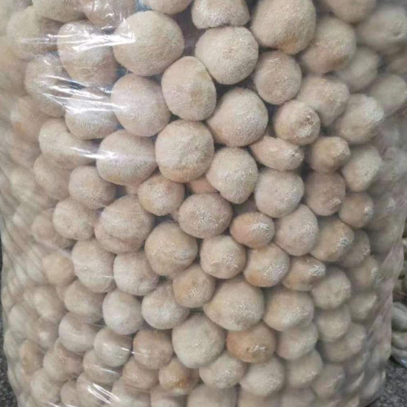 Hericium erinaceus base wholesale various specifications of Hericium erinaceus dry goods bulk Hericium erinaceus edible mushroom dry goods 500g