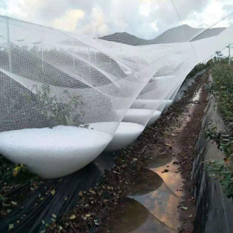 Manufacturer Supplies New Material 8Mm*8Mm White Hail-Proof Net, Hail-Proof Net with a Lifespan of More Than 5 Years for Greenhouse Gardening