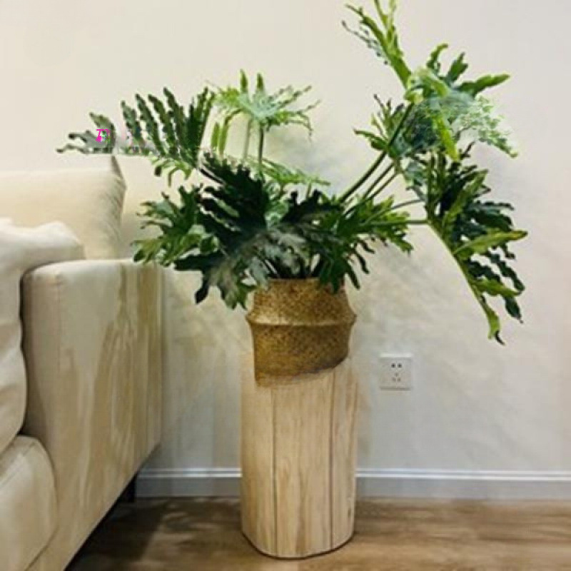 Wood Stump Mat, Log Flower Stand, Flower Pot, Fish Tank, Teapot, Stone Tree Root Carving Base, Solid Wood Ornament Tree Stump