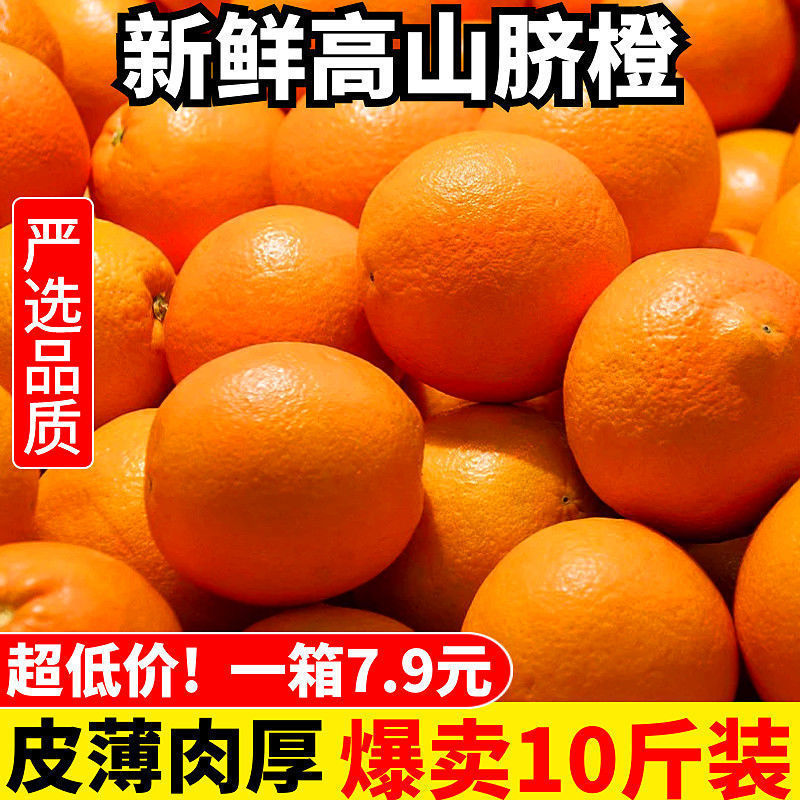 Authentic Zigui Alpine Summer Orange Navel Orange Seasonal Orange Fresh Fruit Seasonal Sweet and Sour Orange Non-Gannan Rock Sugar