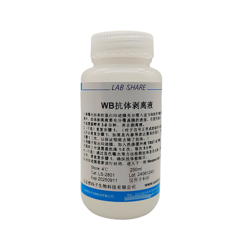 Wb Antibody Peeling Solution Is Only Used for Scientific Research Immunology Experiments Protein Biochemical Experiments