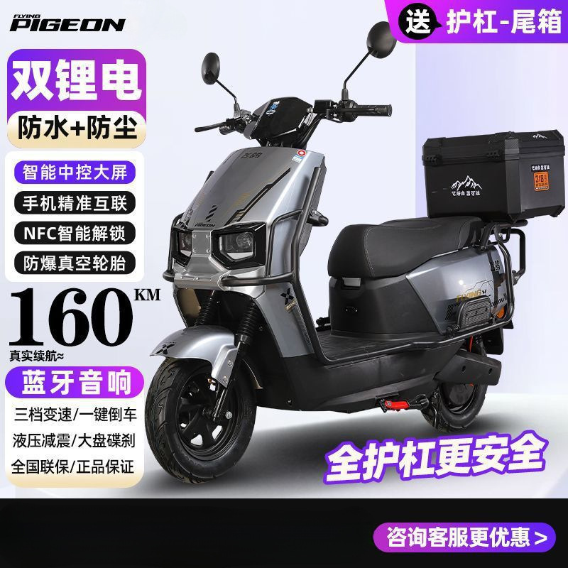 Long-Lasting Electric Two-Wheeled Motorcycle, High-Power, Long-Lasting Two-Wheeled Luxury Electric Motorcycle, Dual-Battery Battery Car
