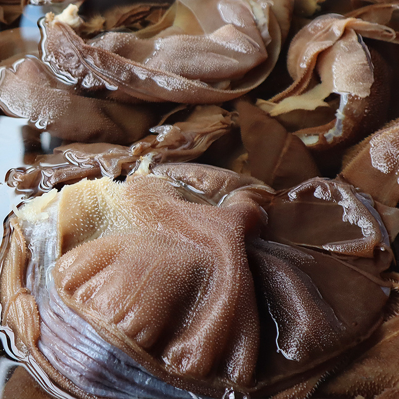 Tripe Wholesale 2.5kg Fresh Large Leaf Tripe Thousand Layer Tripe Commercial Beef Offal Chongqing Shabu-Shabu Hot Pot Ingredients