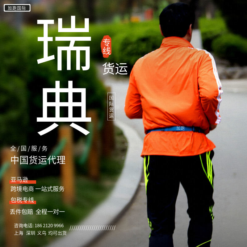 Специализированные авиаперевозки и морские грузоперевозки Швеции, международная экспресс-доставка, двойная очистка и налоги включены