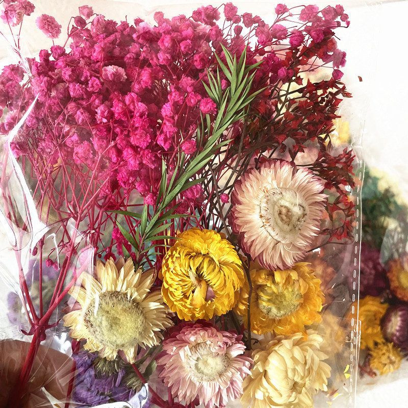 Dried Flower Material Bag Pack Immortal Dried Flower Material Painting Fan Greeting Card Handmade Dried Flower Small bouquet Natural True Flower Drops of Glue
