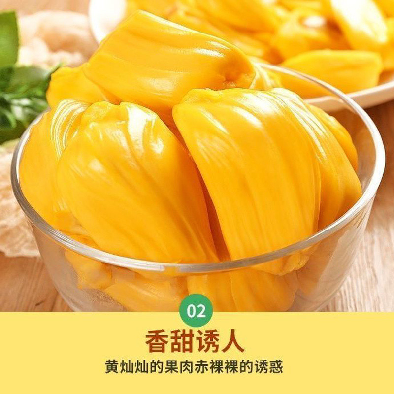 Hainan Sanya Jackfruit a Whole Fresh Fruit Seasonal Yellow Flesh Jackfruit Wholesale Whole Box Free Shipping