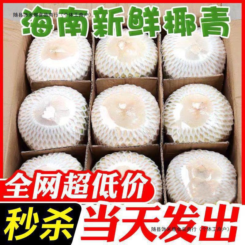 Hainan Coconut Green Fresh Coconut 2/4/6/9 Pack Seasonal Fruit for Pregnant Women Whole Box Specialty Wholesale Free Shipping