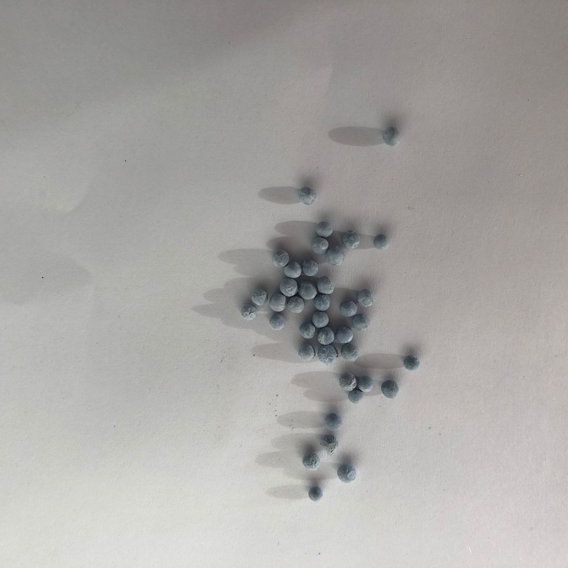 Катализатор с добавлением водорода, производитель катализаторов, катализатор с добавлением водорода, водородосодержащий десульфид