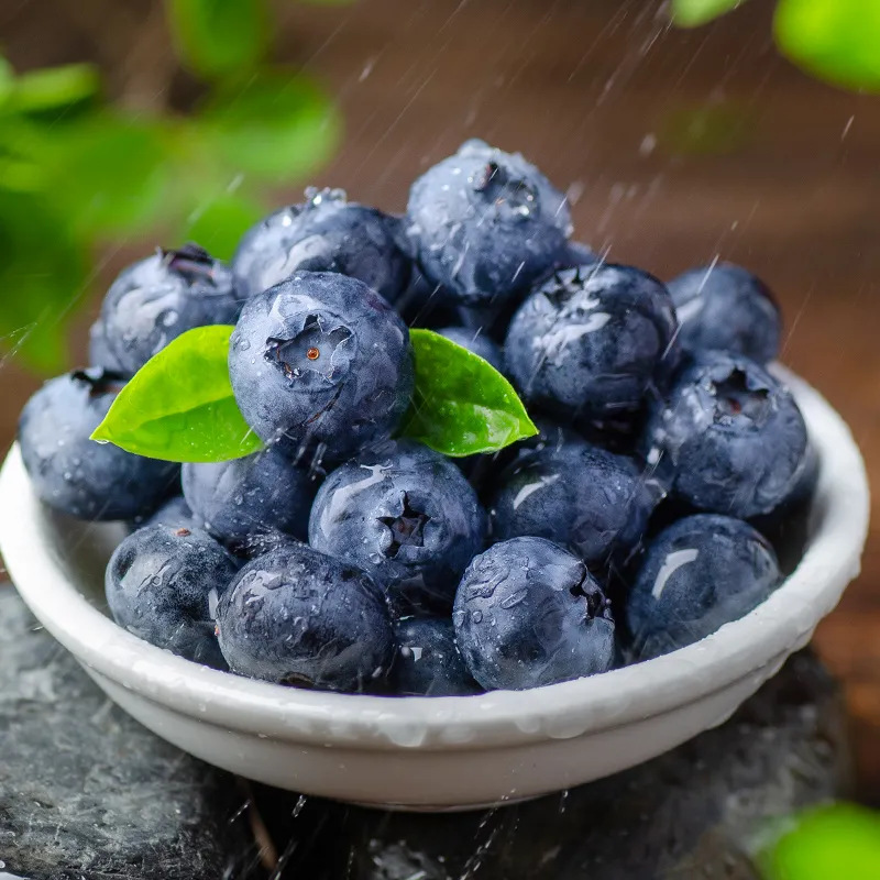 Shandong Blueberry Fresh Fruit Fresh Seasonal Fruit 125g Sf Free Shipping Seasonal Blue Plum Drop Shipping