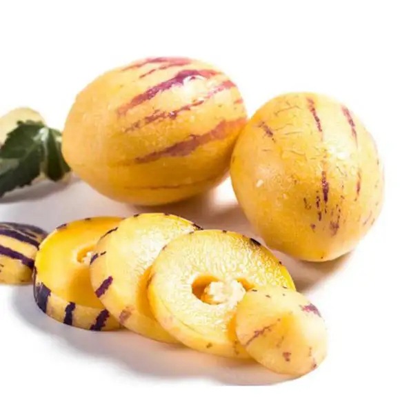 Gansu Desert Ginseng Fruit, Ripe Fruit, Long Fruit, Life Fruit 4.5kg / 2.5kg / 1.5kg Fresh Fruit, Ripe on the Tree