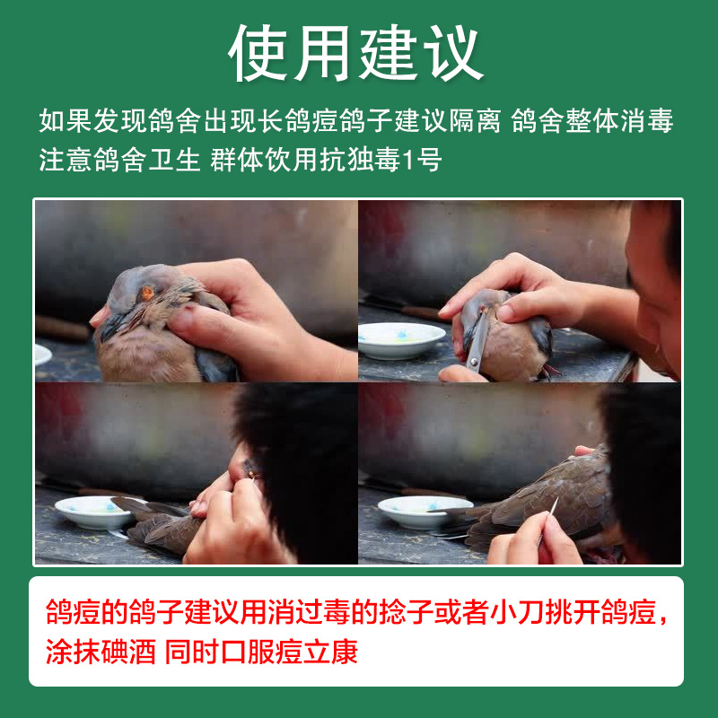 痘力康100片/瓶 皮肤型粘膜型鸽痘病毒感染鸽痘灵鸽子常用药大全