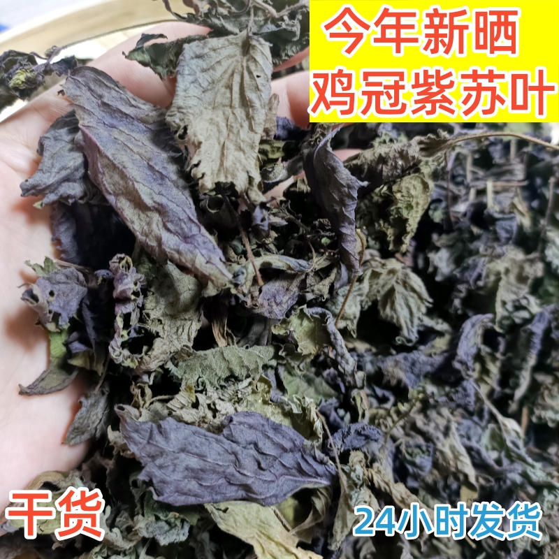 Сушеные и свежие листья периллы с бесплатной доставкой, только что собранные, съедобные овощи