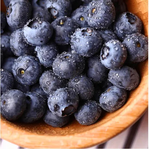 Shandong Alpine Blueberry Fresh Fruit Fresh Picked Fruit Sf Free Shipping Seasonal Fresh Picked Blueberries Drop Shipping