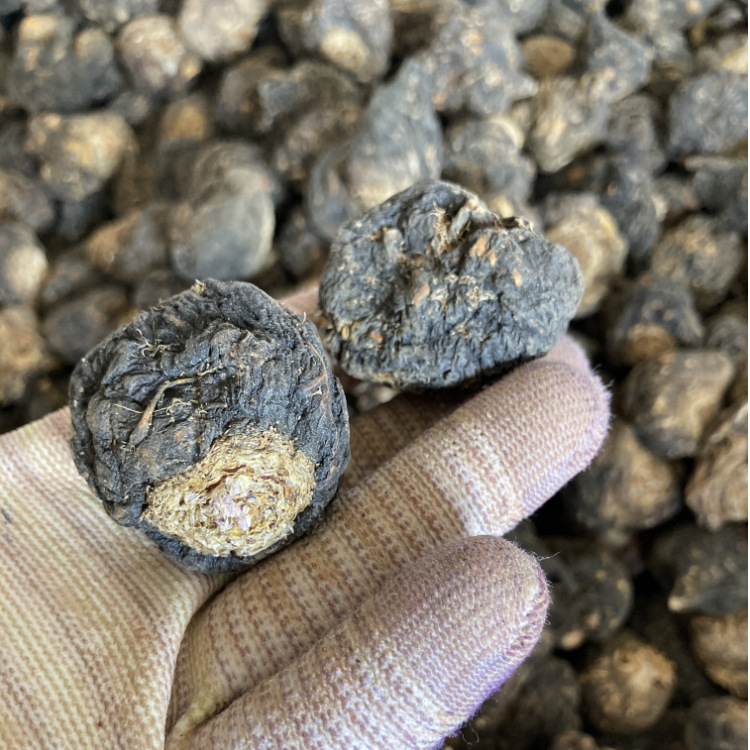 Wholesale Yunnan Maca, Lijiang Black Maca, Dried Maca, Maca Cards, Grindable Maca Powder, Wine Ingredients, Men's Nourishing Maca