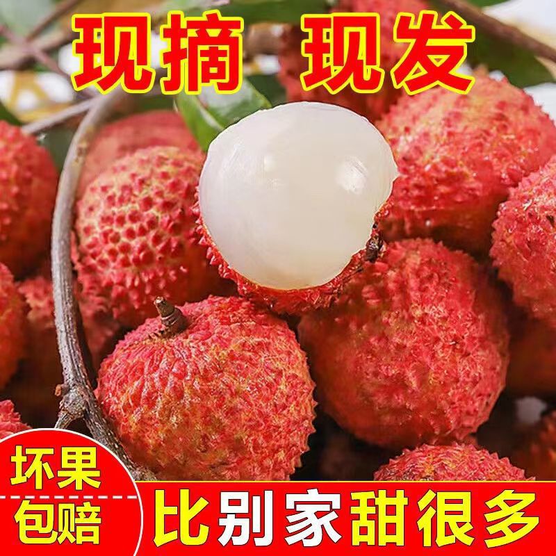 Lychee Picking Factory Wholesale Non-White Sugar Lychee Seasonal Fruit Whole Box Feizi Xiao Non-Wholesale Fresh Discovery Fast Delivery