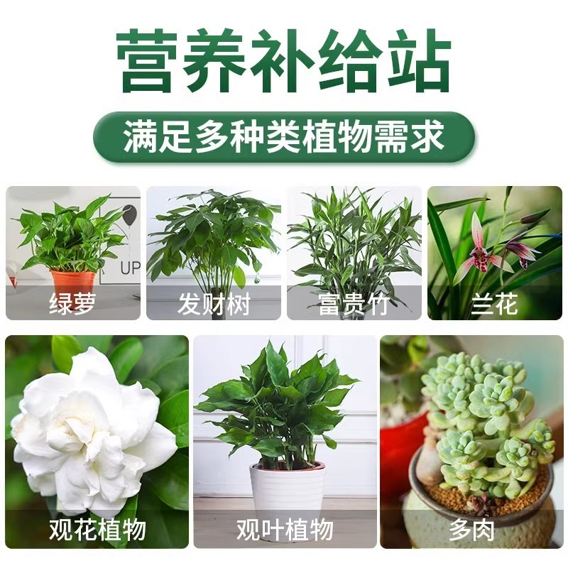 Plant nutrient solution General-purpose household potted rich tree rich bamboo green dill hydroponic flower green plant flower fertilizer
