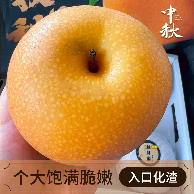 Shandong Laiyang Fengshui Pear Fresh Fruit Autumn Moon Pear Fresh Fruit Seasonal Freshly Picked Yellow-Skinned Pear Sweet and Juicy