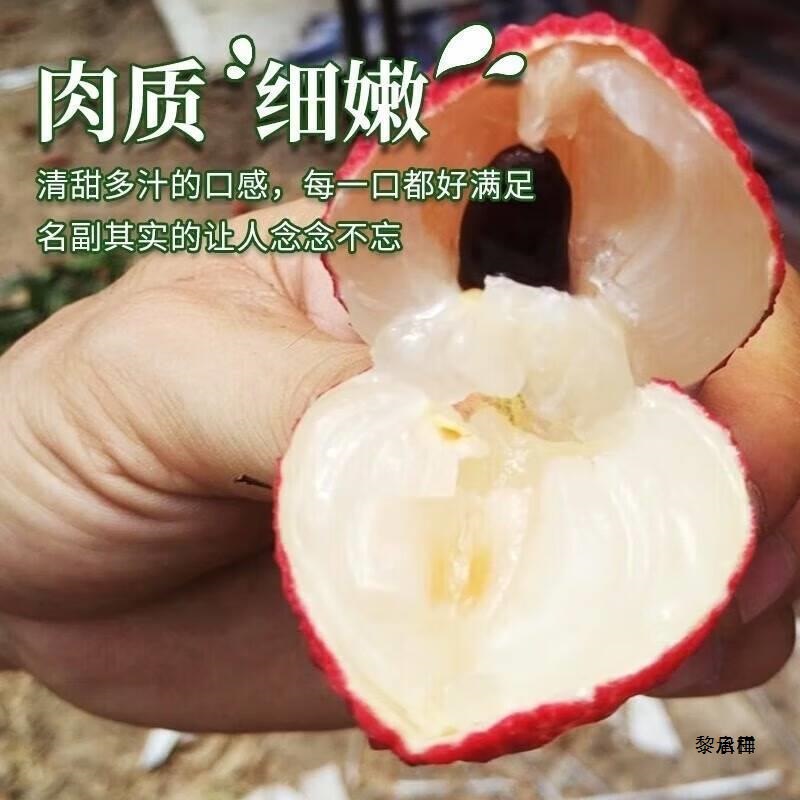 Guangdong Zengcheng 2.5kg Glutinous Rice