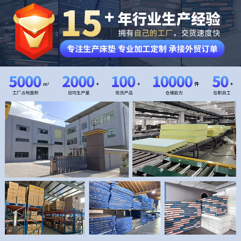 Thickened Latex Mattress Student Dormitory Breathable Hard Cotton Pad Single and Double Home Bedroom Foldable Mattress Pad