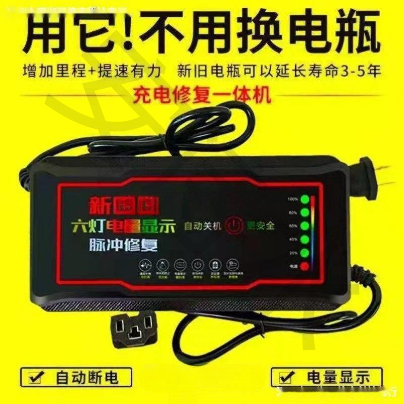 Automatic Three-Wheel Electric Vehicle with Charging, Power-Off Vehicle, Two-Purpose Fast Charger, Wheel Battery Vehicle