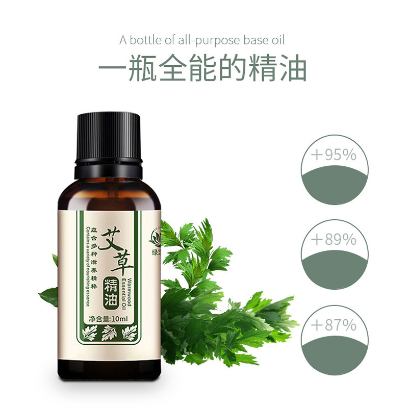 Mugwort Essential Oil 10ml Plant Herbal Moisturizing Massage Open Back Shoulder and Neck Conditioning Soothing Body Massage Essential Oil Wholesale