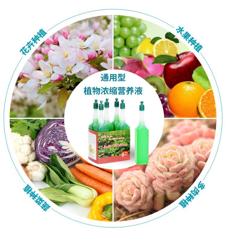 Wholesale plant nutrient solution universal flower green plant liquid fertilizer hydroponic foliar fertilizer rich bamboo nutrient solution