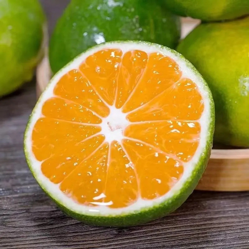 Hubei and Yunnan Green-Skinned Tangerines Are in Season, Whole Fruit Tangerines with Free Shipping, Fresh Fruit Tangerines Available for Dropshipping