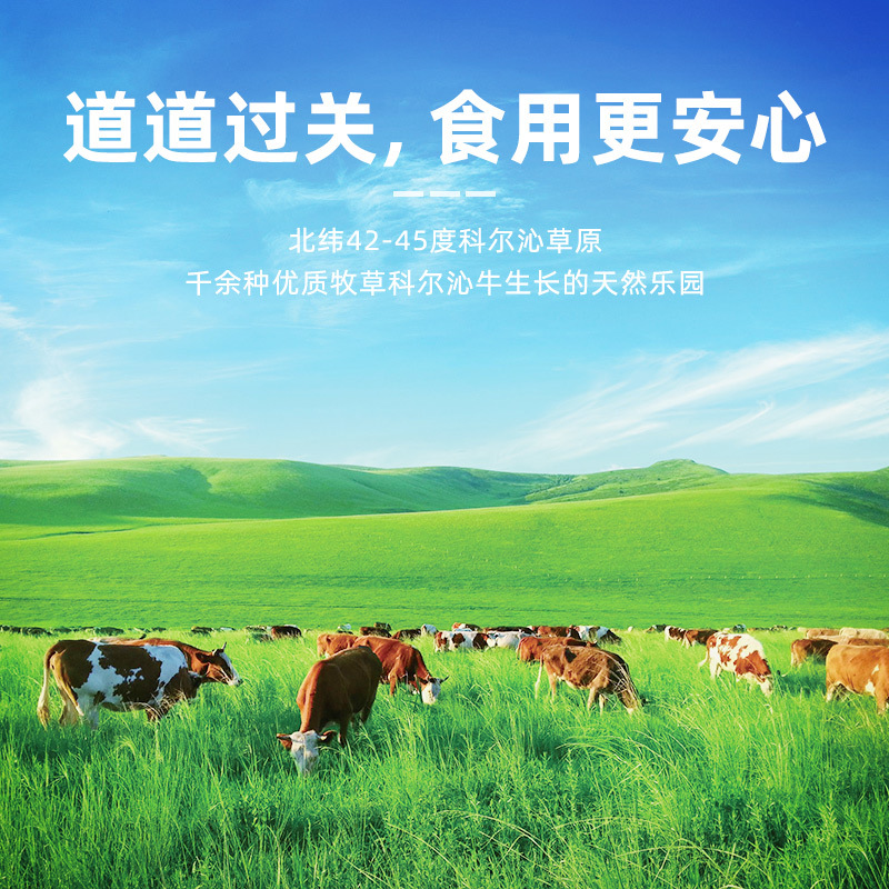 Horqin Steak Frozen Body-Fitting Steak Raw Cut Steak 150g*6 Bags Grain-Fed Beef Prairie Delicious