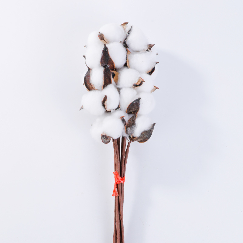 Cotton dried flower cotton bouquet simulation cotton Christmas bouquet dried flower eternal flower natural cotton Xinjiang cotton
