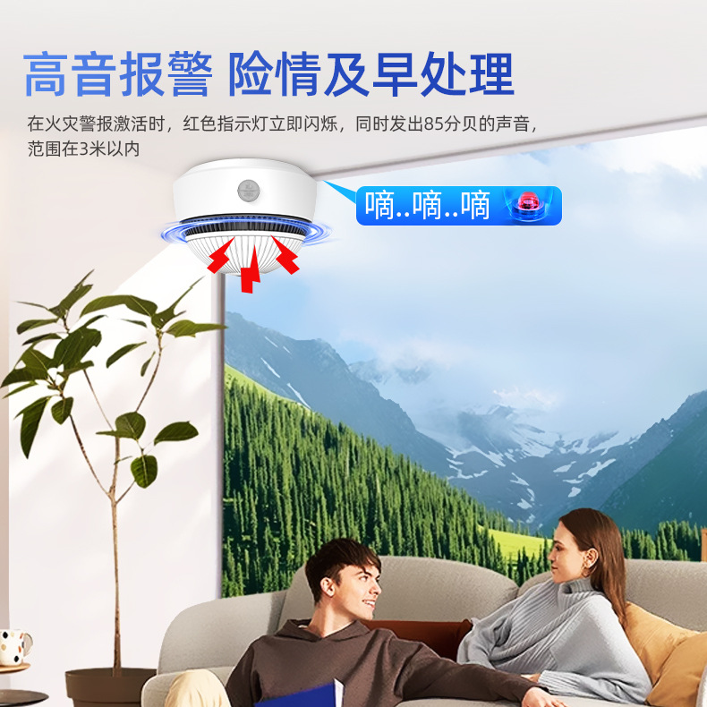 S06 New Smoke Alarm Fire Sensor Wifi Independent Zb Detector Loud Alarm Ten-Year Lifespan