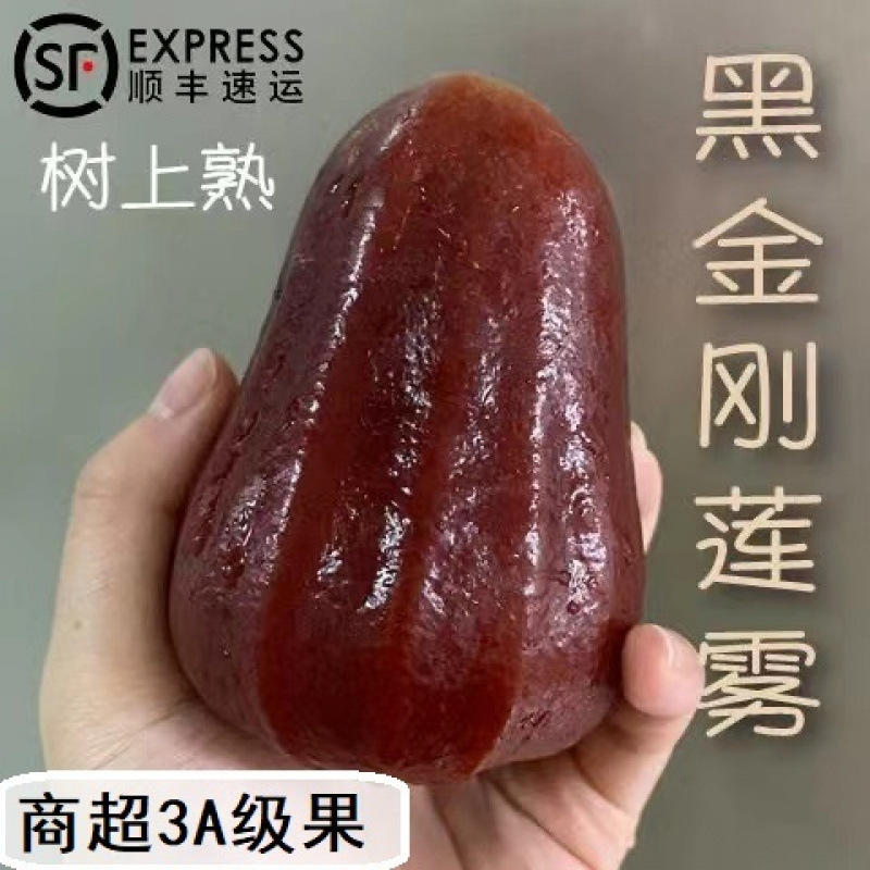 [Sf Express Home] Authentic Hainan Black Diamond Lotus Mist Fruit Tropical Fresh Fruit Sweet and Juicy Hainan Specialty