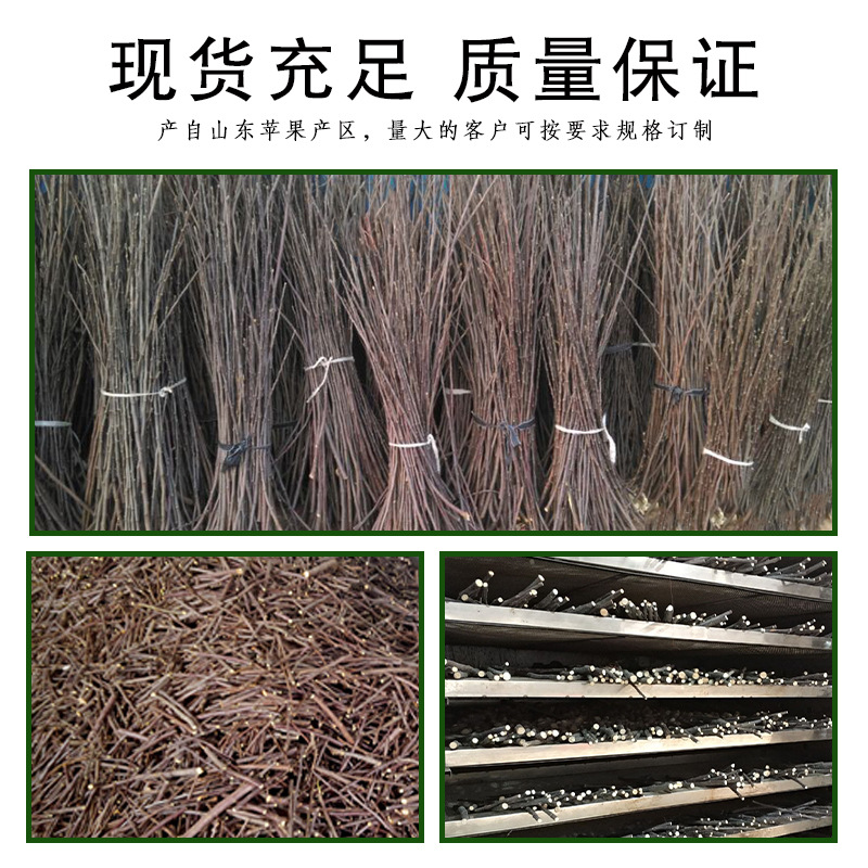 Apple Branch Hamster Molar Wooden Branch Pet Bite Toy Totoro Rabbit Molar Stick 500g Dried Apple Branch