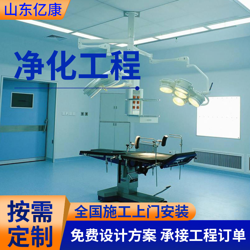 Dust-Free Workshop Decoration, Purification Workshop Project, Clean Room, Sterile Room Design and Construction, Digitals Factory, Food Factory Customization