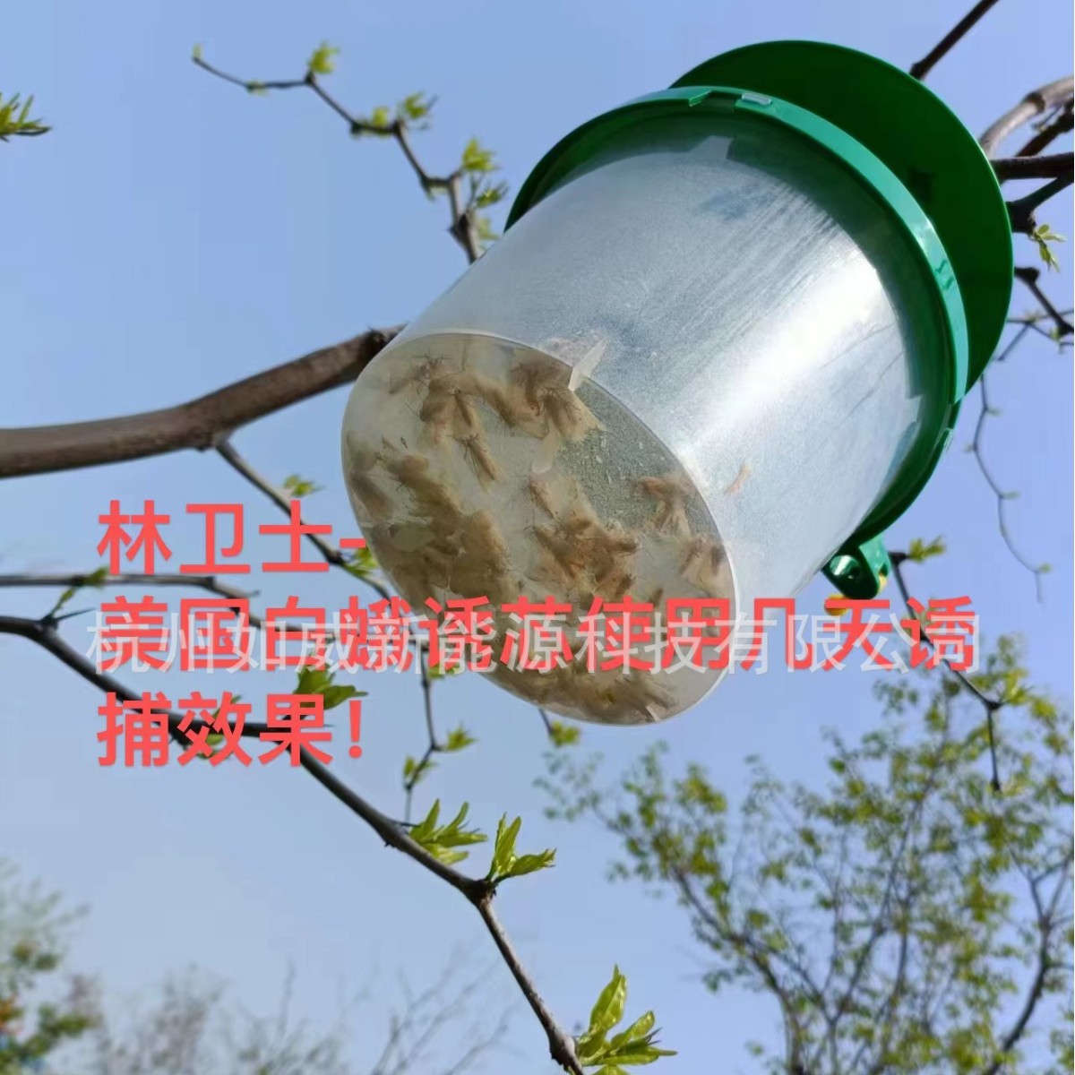 Lin Guardian Phl Lure Series American White Moth Lure American White Moth Attractant Trap