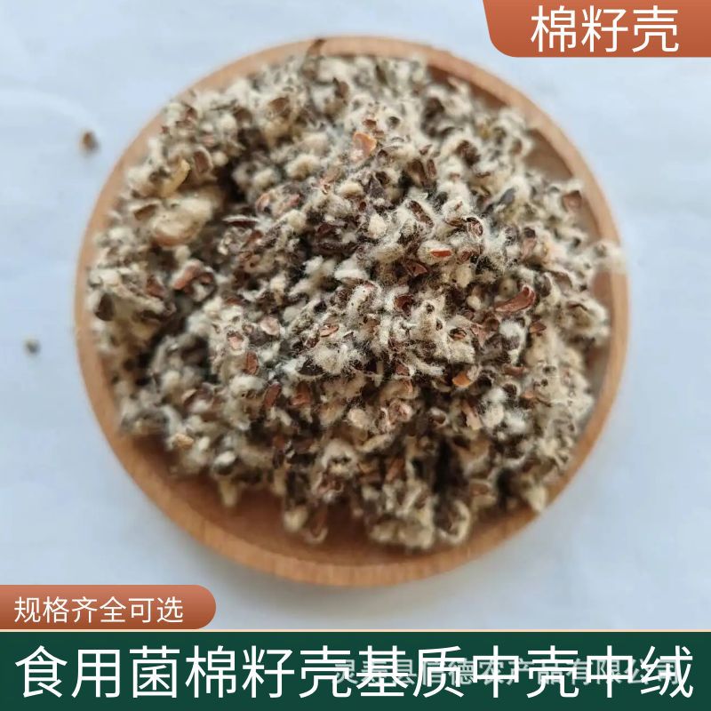 Xinjiang in stock cottonseed shell wholesale mushroom edible mushroom mushroom cultivation matrix water retention breathable cotton residue oil field