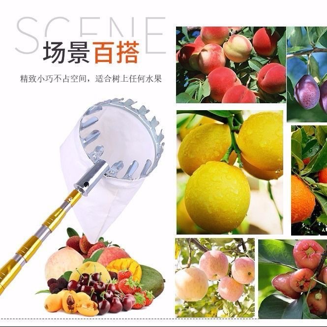 High-altitude fruit picking artifact Toon Sophora japonica fruit branch scissors sickle spring bud hook stainless steel telescopic rod wholesale