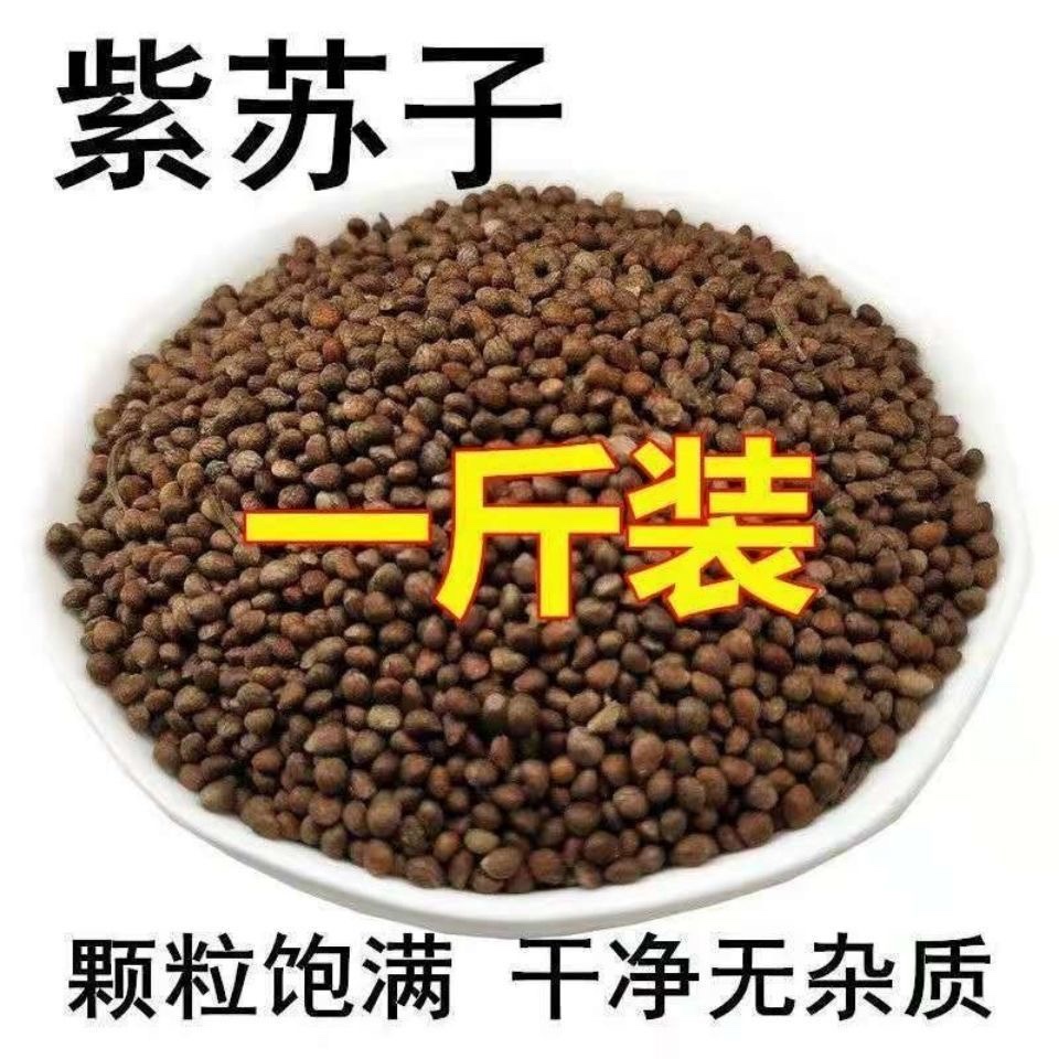 Perilla Seeds, Shelled, Wild Perilla Seeds, Black Perilla Seeds, Medicinal