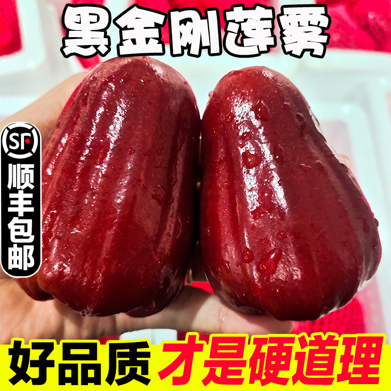 Sf Express Хайнань Черный Кинг Конг Лотосовый туман аутентичные Лотосовые фрукты сезонные свежесобранные тропические фрукты целая коробка