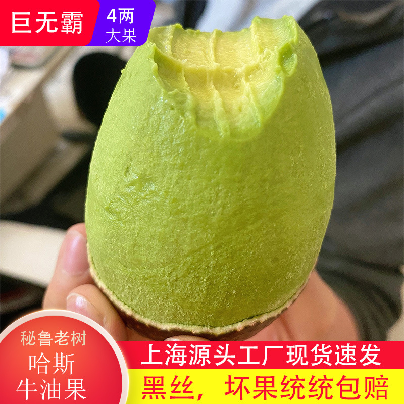 Peruvian Imported Hass Avocado Big Mac Hass Avocado Fresh Fruit Freshly Picked in Season Shanghai Spot Quick Delivery