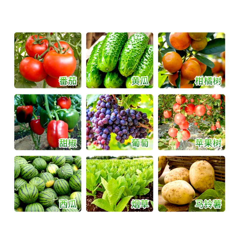 American Mytuo Jiejiaoli Silicone Additive Agricultural Active Agent Strong Penetration Barrel Mixing Agent Pesticide Additive