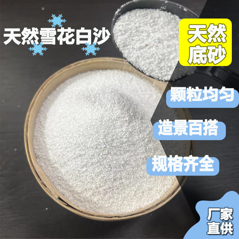 White Sand Texture Sand White Particles Kidsren's Entertainment Fish Tank Landscaping Fish Tank Bottom White Sand Snowflake White Manufacturer Supply