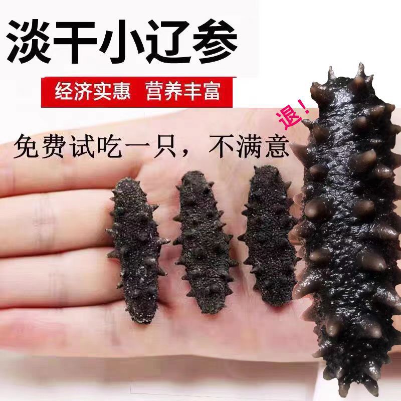 Dalian Light-Dried Sea Cucumber Special Price Small Sea Cucumber Dried Goods Bottom-Cultured Liaodong Sea Cucumber Buddha's Leap Sea Cucumber Non-Instant Sea Cucumber Gift Box