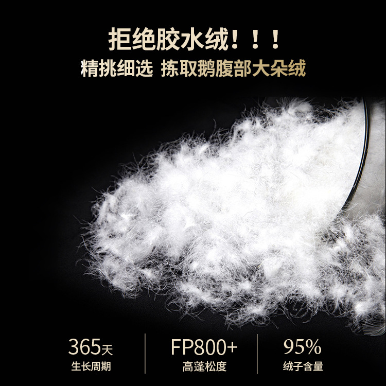 Hilton Down Quilt 95 White Goose Down Quilt Core Five-star Hotel Quilt Spring and Autumn Quilt Winter Quilt Duvet Duck Quilt