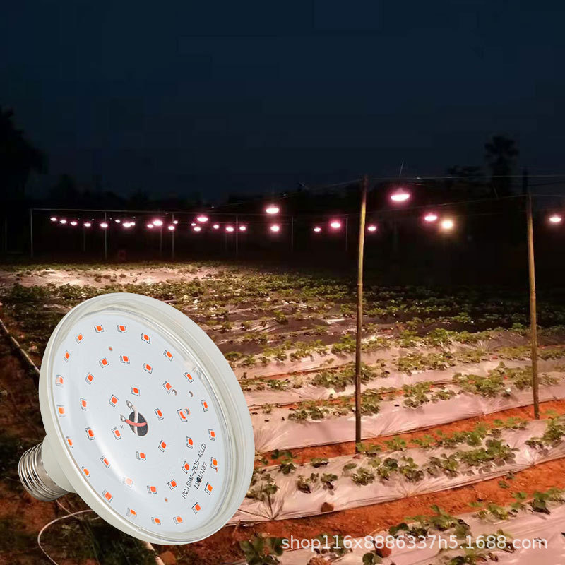 Plant Growth Lamp Led Lamp Strawberry Fill Light Full Spectrum Seedling Temperature Heating Lamp Vegetable Greenhouse Greenhouse Lamp Beads