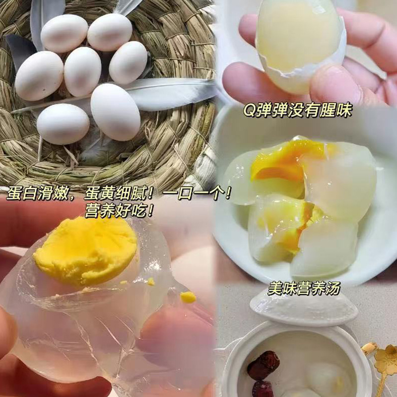 Wholesale Pigeon Eggs from Free-Range Farms, Pure Organic Food for Pregnant Women and Babies, Special Grade Pigeon Eggs for Newborns, Organic Food for Pregnant Women