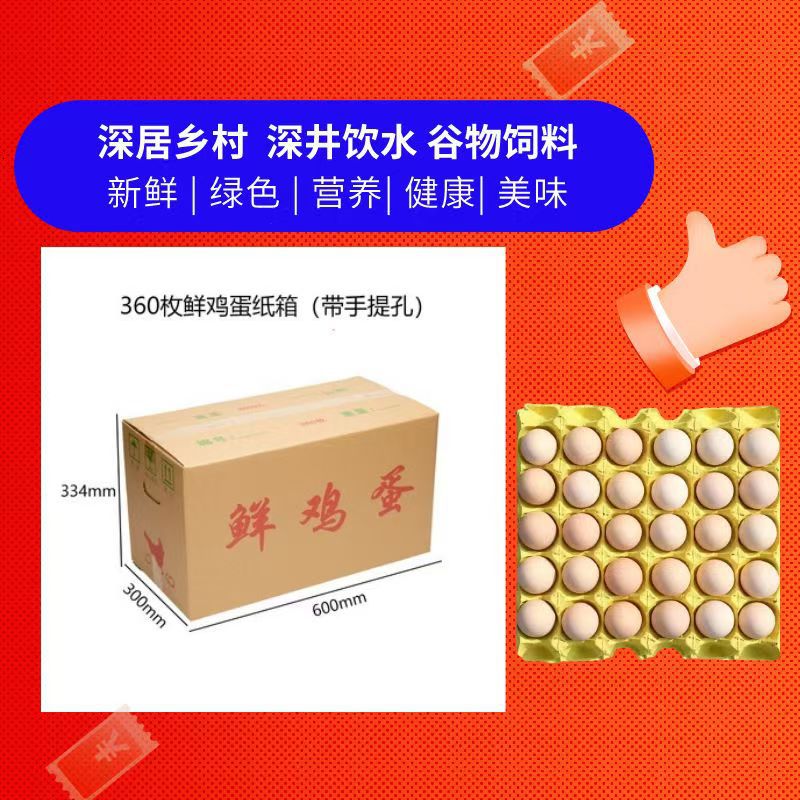 360 Pieces of Free-Range Eggs Wholesale, Fresh Farm-Raised Free-Range Eggs, Whole Box