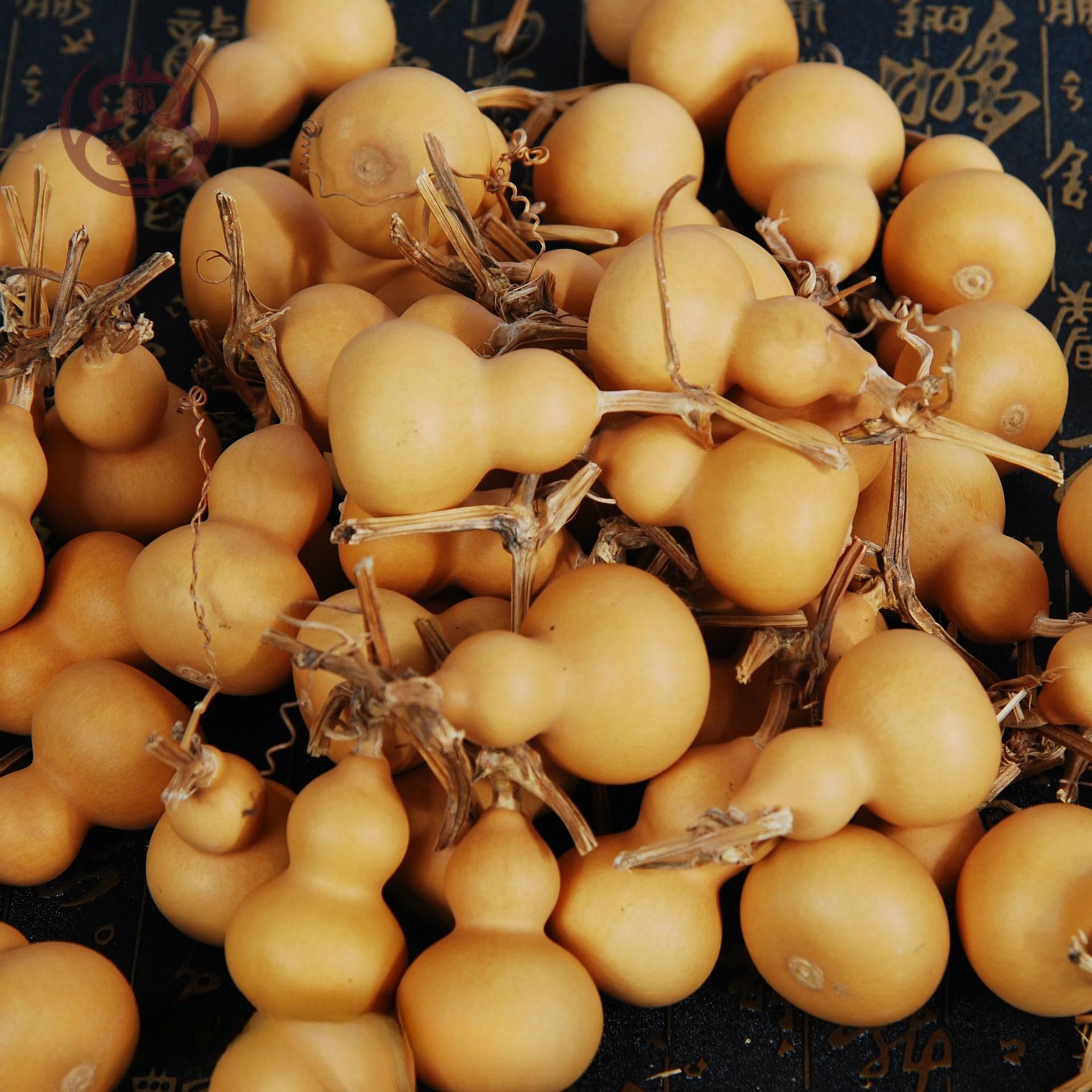 Оптовая продажа мелких тыкв ручной работы, премиальная американская тыква для выращивания, натуральная тыква различных спецификаций