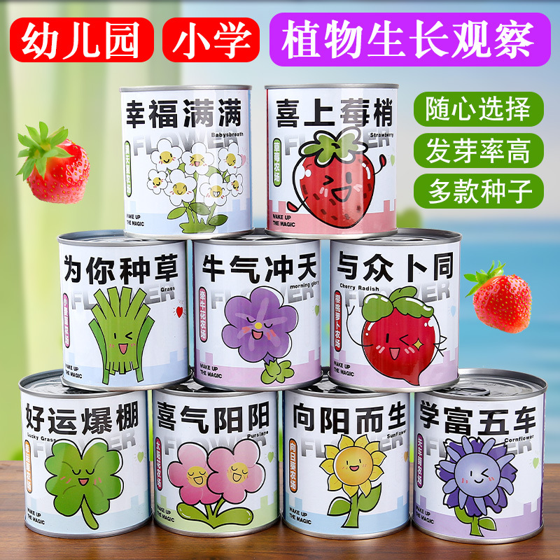 Internet Celebrity Can Plant Blind Box Children's Planting Tomato Mint Desktop Green Plant Growth Record Can