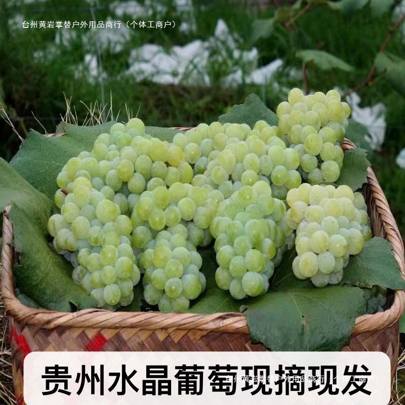 Freshly Picked Guizhou Crystal Grapes for Delivery, Farm Green Grapes, Seasonal Fruit, Fresh Green Grapes, Simple Packaging Shashanzi