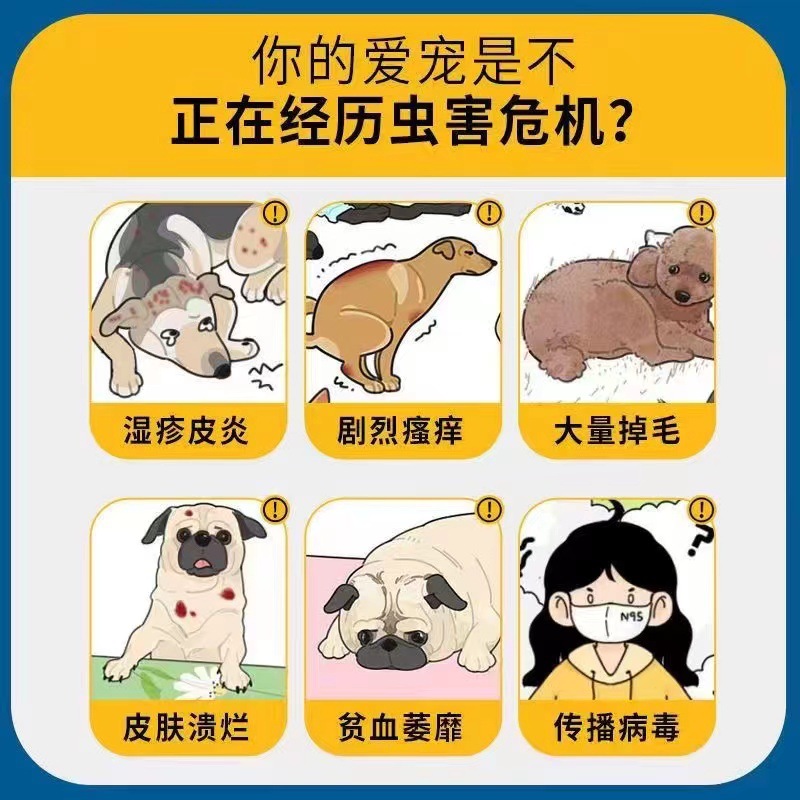 [Price of 10 Bottles] Pet Medicine Chitin A+B Drops Two-In-One Dog and Cat External Deworming Drops Can Be Used for Pregnant Animals